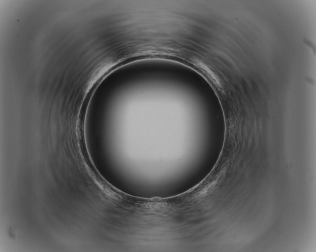 X0000091240893200708301536