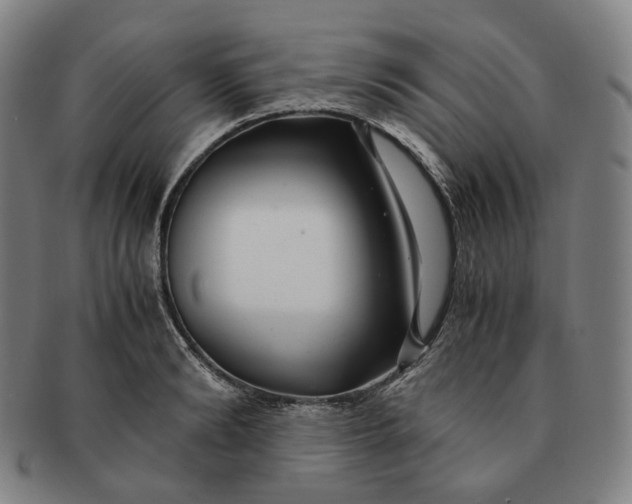 X0000091240894200708301536