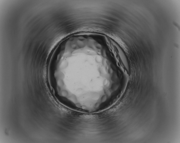 X0000091240896200708301536