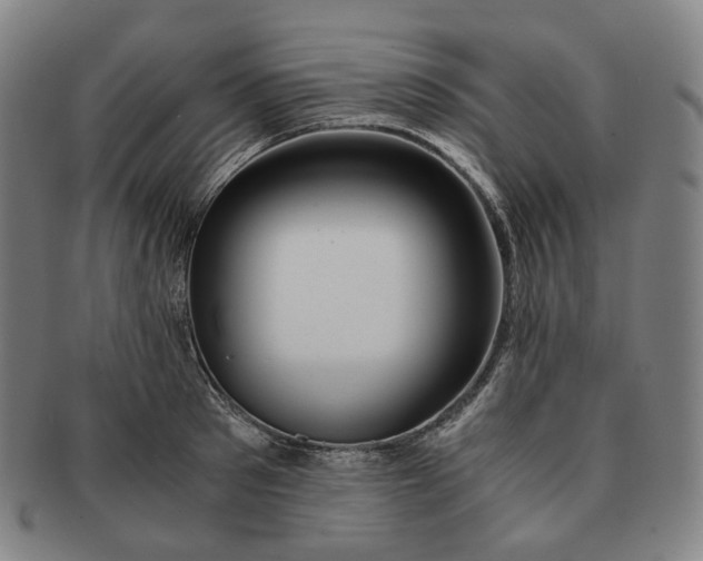 X0000091240897200708301536