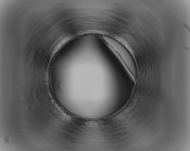 X0000091240898200708301535