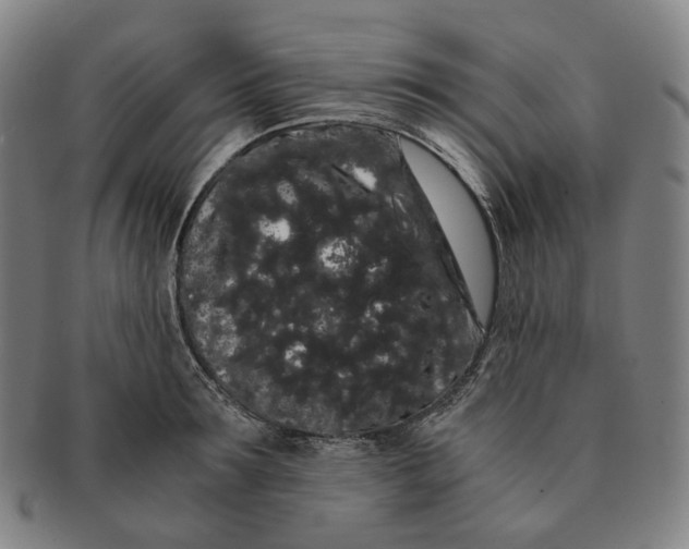 X0000091240899200708301535