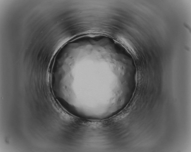 X0000091240900200708301535