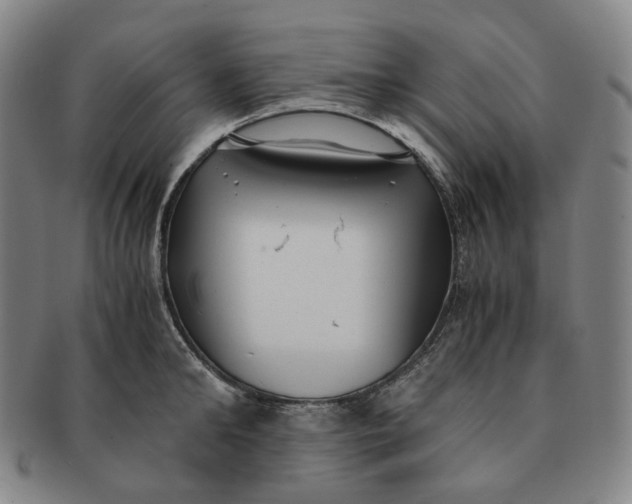 X0000091240902200708301535