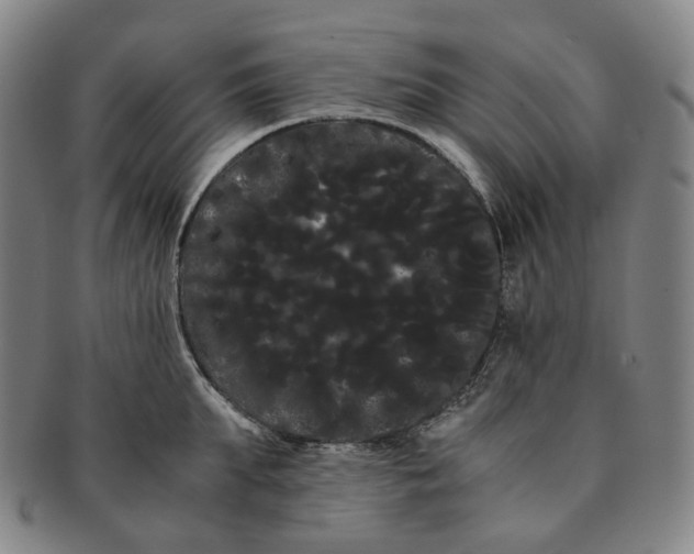 X0000091240903200708301535