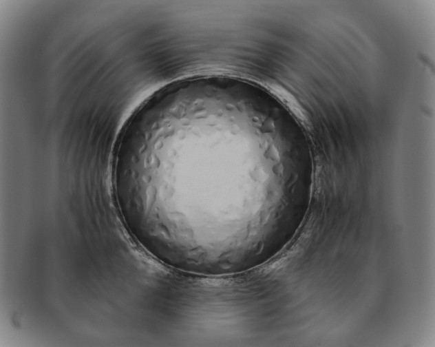 X0000091240904200708301535