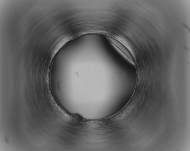 X0000091240906200708301535