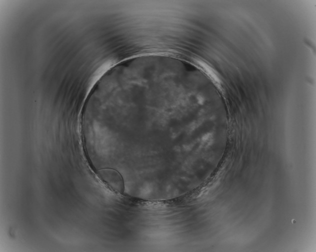 X0000091240907200708301535