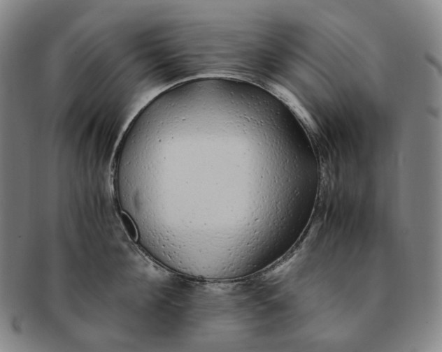 X0000091240908200708301535