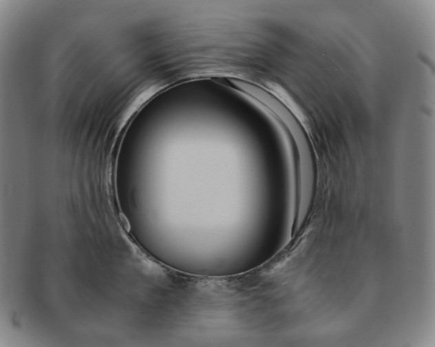 X0000091240909200708301535