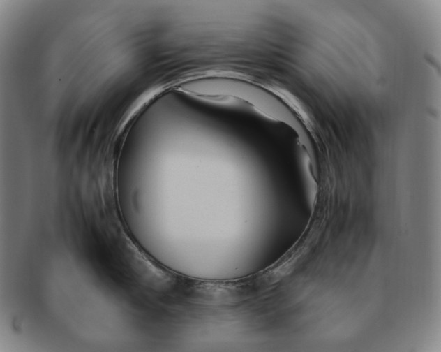 X0000091240910200708301535