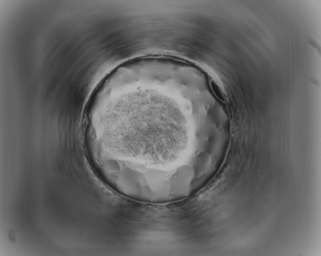 X0000091240911200708301535