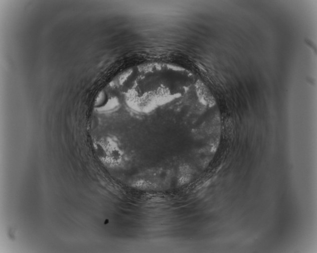 X0000091240913200708301535