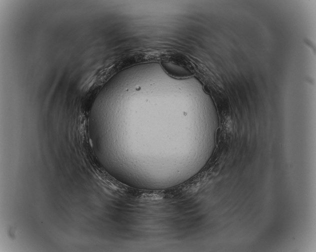 X0000091240914200708301535