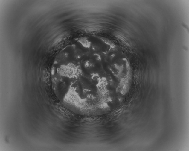 X0000091240917200708301535