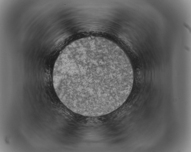 X0000091240918200708301535