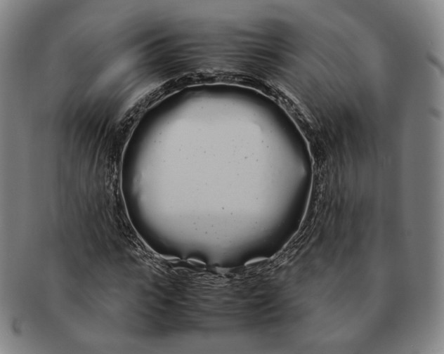 X0000091240919200708301535