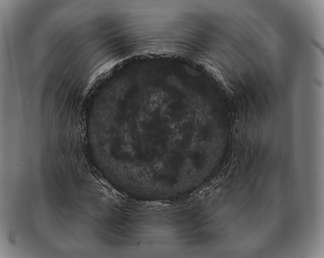 X0000091240920200708301535