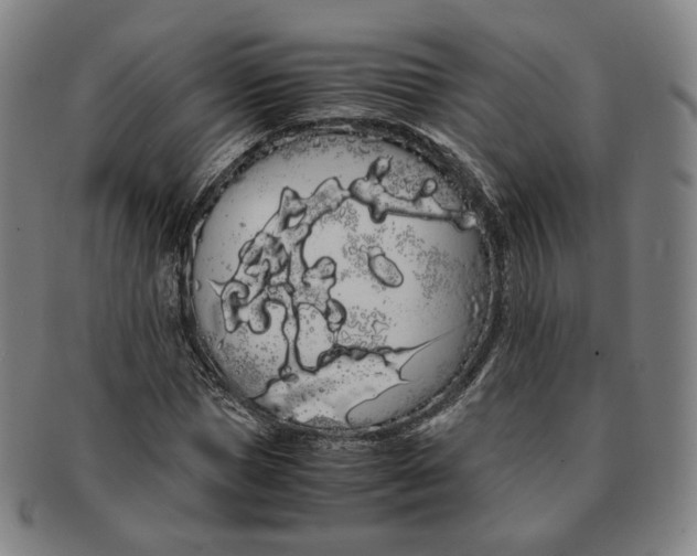 X0000091240921200708301535