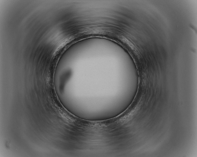 X0000091240922200708301535