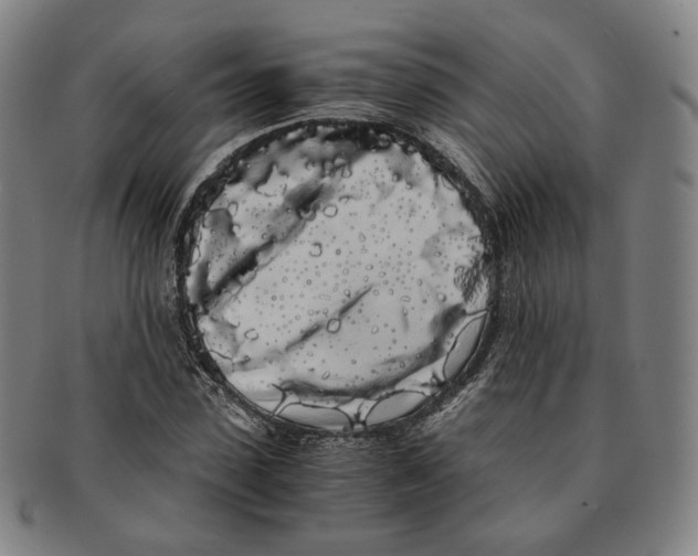 X0000091240923200708301535