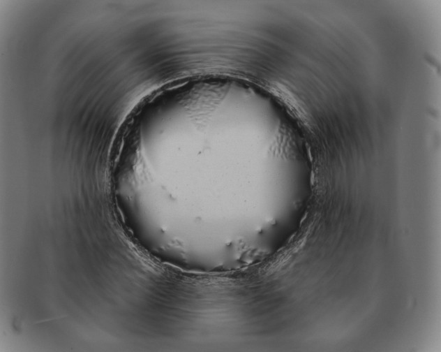 X0000091240924200708301535