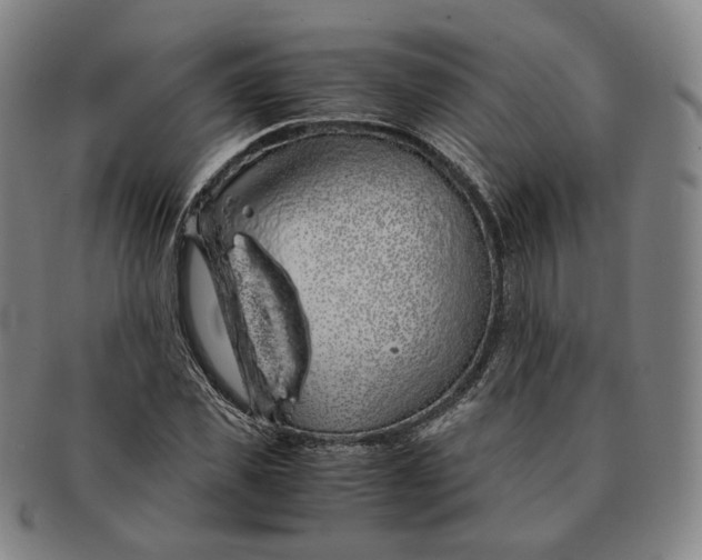 X0000091240925200708301535