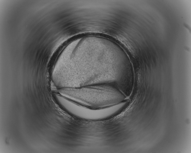 X0000091240926200708301535