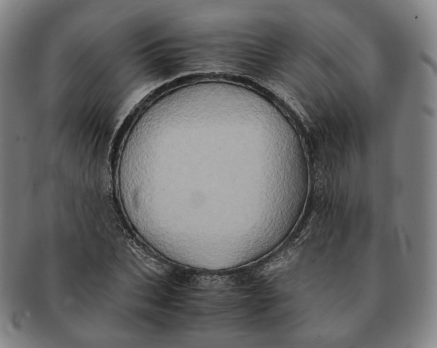 X0000091240927200708301535