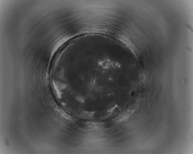 X0000091240928200708301535