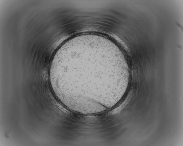 X0000091240929200708301535