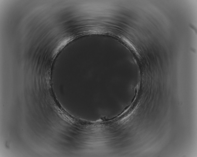 X0000091240930200708301535