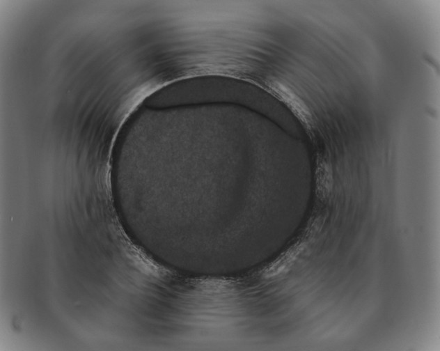 X0000091240932200708301535