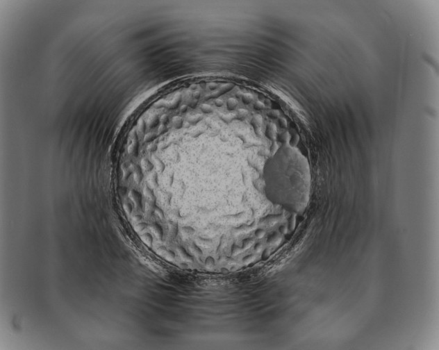 X0000091240933200708301535