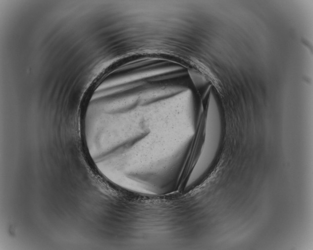 X0000091240934200708301535