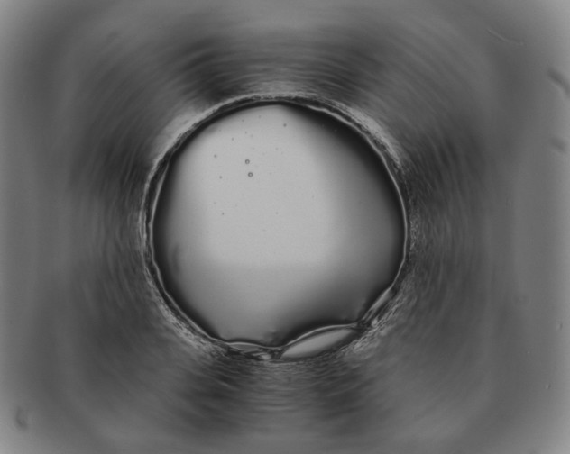 X0000091240935200708301535