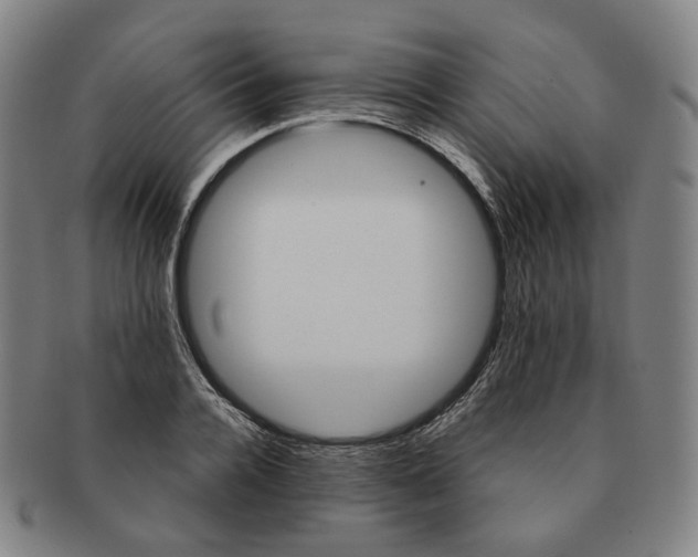 X0000091240936200708301535