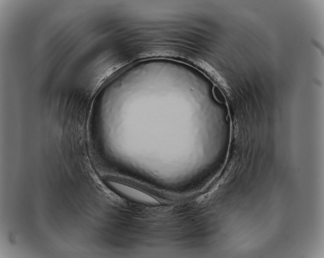 X0000091240937200708301535