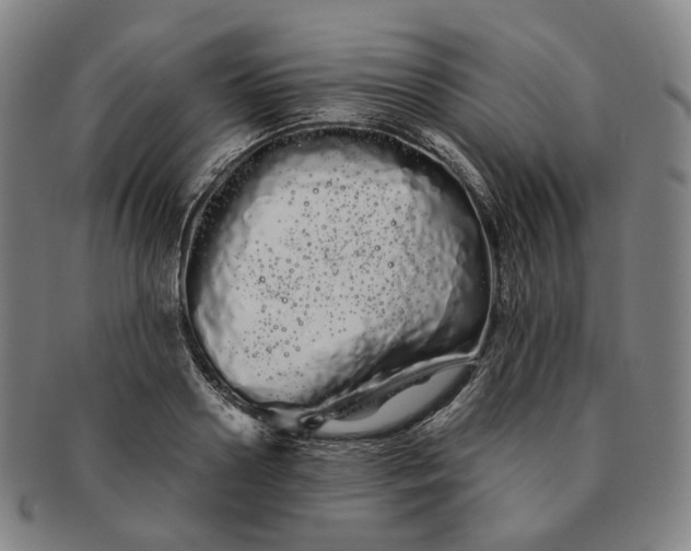 X0000091240938200708301535