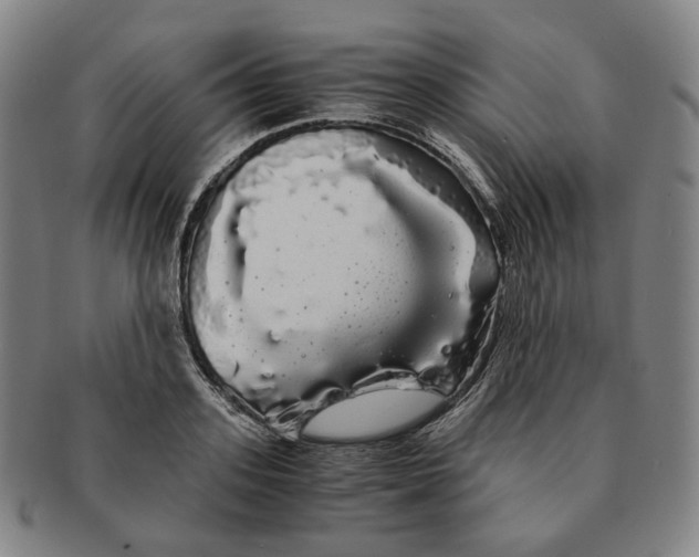 X0000091240939200708301535