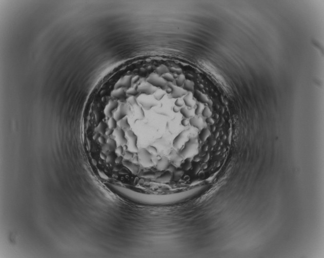 X0000091240940200708301535