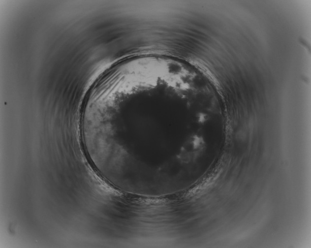 X0000091240941200708301535