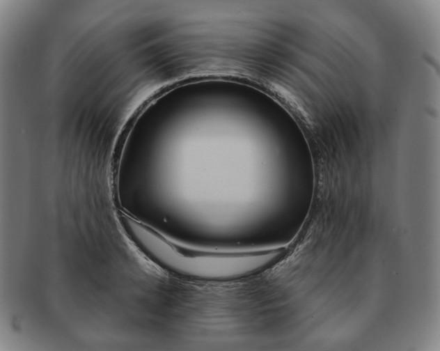 X0000091240942200708301535