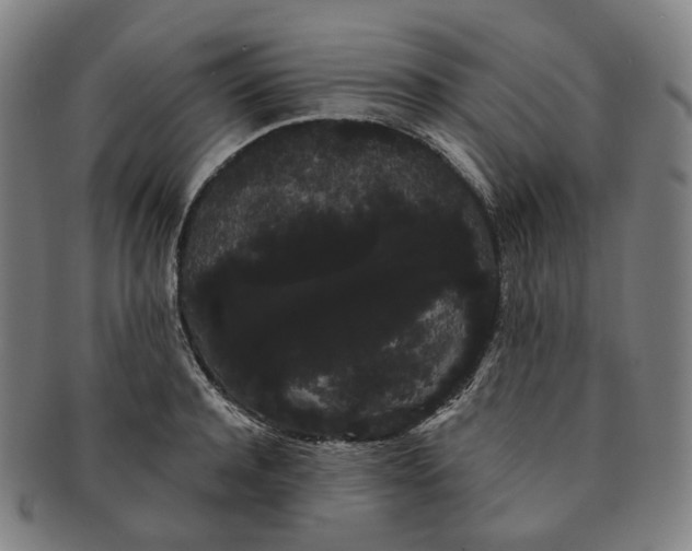 X0000091240944200708301535