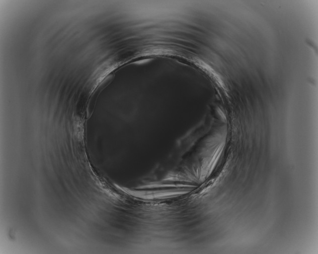 X0000091240945200708301535