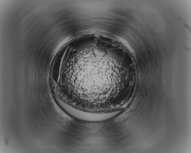 X0000091240946200708301535