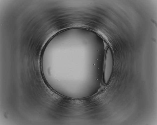 X0000091240947200708301535