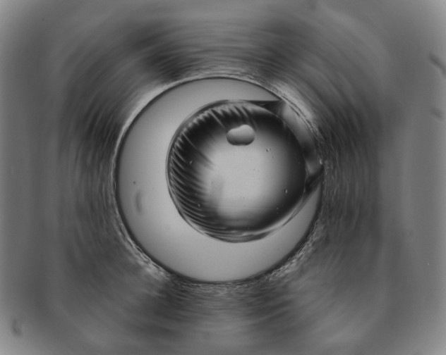 X0000091240948200708301535