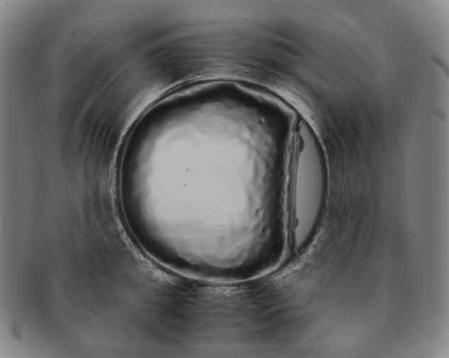 X0000091240949200708301535