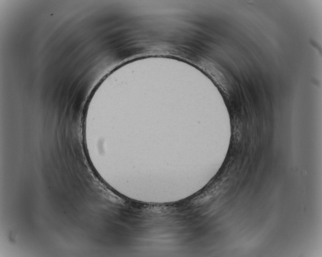 X0000091240950200708301535